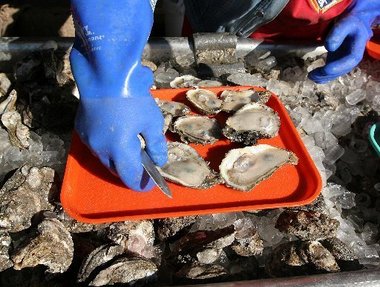 oysters-shucking.JPG