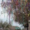 Mardi Gras and Super Bowl preliminary numbers should provide a boost to the city