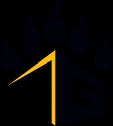 Grizzly Commercial Roofing